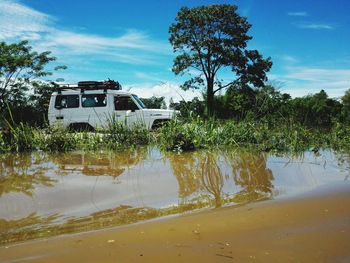 Safari car in forest against sky