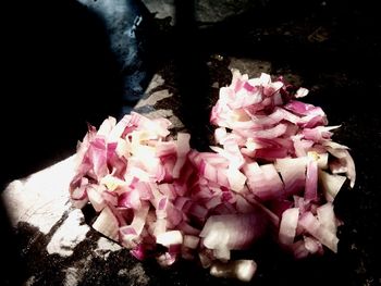 High angle view of pink flowering plant