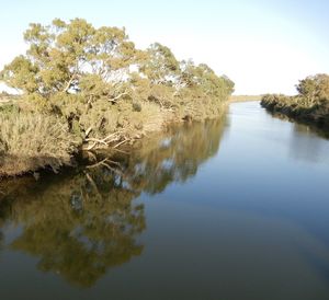 reflection