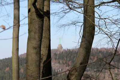 View of trees against sky