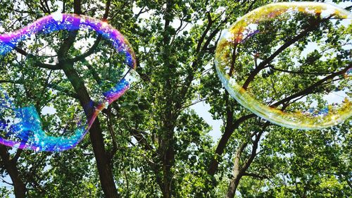 Low angle view of bubble against trees
