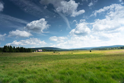 Scenic view of field against sky