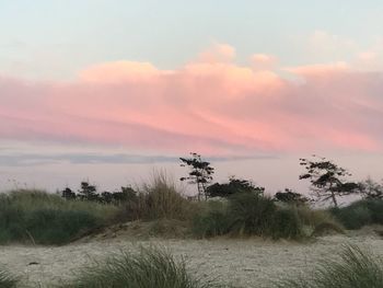 Scenic view of field against sky during sunset