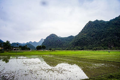 Scenic view of landscape against sky