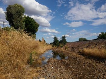 Puddle on field against sky