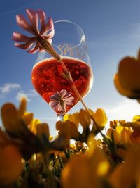 Low angle view of flowering plant against orange sky