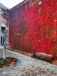 Footpath by red wall of building