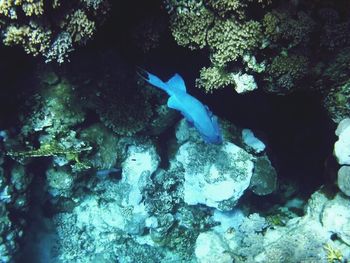 Rocks in sea