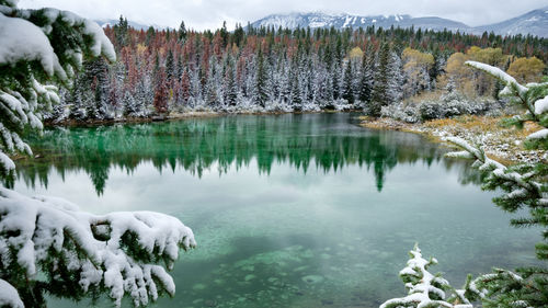 A small calm lake surrounded by trees and mountains with light fresh snow, jasper, canada.