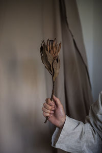 Close-up of hand holding dried plant