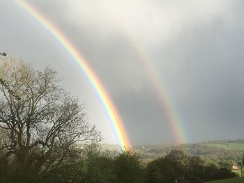 Rainbow over trees