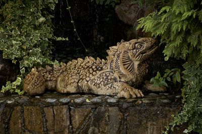 View of tiger relaxing on rock against trees