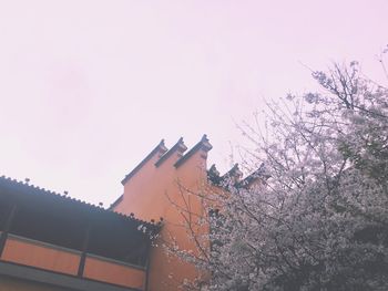 Low angle view of birds flying against sky