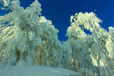 Low angle view of snowcapped mountain against blue sky