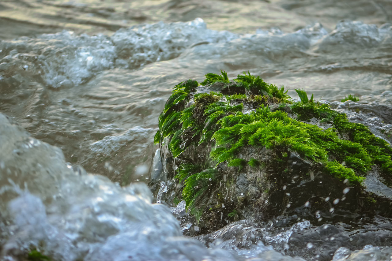 CLOSE-UP OF WATER FLOWING FROM ROCKS