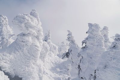 Snow covered mountain against sky