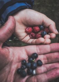 Close-up of hand holding berries