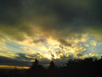 Silhouette of trees at sunset