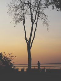 Silhouette person standing by bare tree against sky during sunset