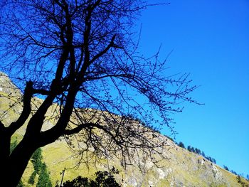 Low angle view of bare tree against clear blue sky