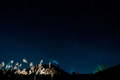 Low angle view of stars in sky at night