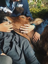Midsection of woman with dog sitting outdoors