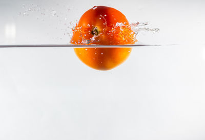 Close-up of orange slice in glass against white background