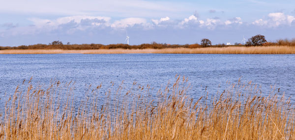 Scenic view of lake against sky