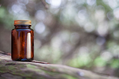 Close-up of glass of jar on plant