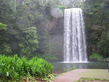 Scenic view of waterfall