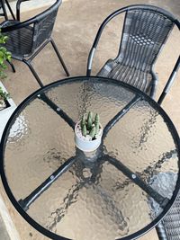 High angle view of potted plant on table