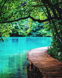 Scenic view of lake with trees in background