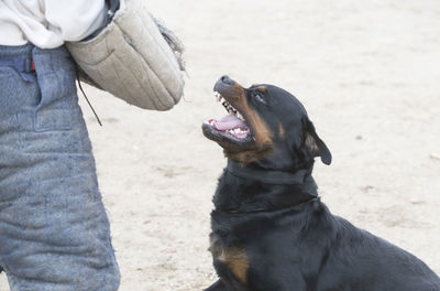 Man with dog