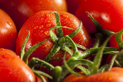 Close-up of tomatoes