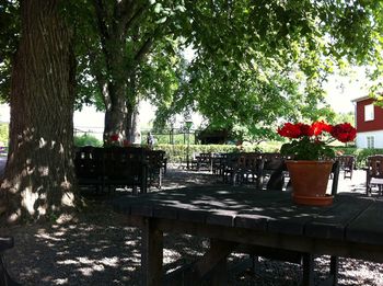 Empty bench in park