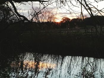 Silhouette bare trees by lake in forest during sunset