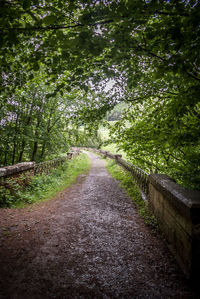 Dirt road amidst trees