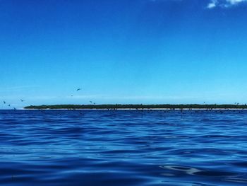 Scenic view of sea against clear blue sky