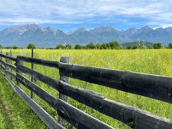 Wild flowers in tunka valley against eastern sayan mountains. wooden fence. buryatia, russia.