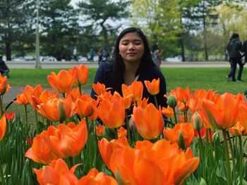 Woman looking at orange tulips in park