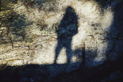 Low section of woman standing on shadow
