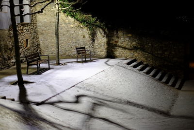 Shadow of tree on snow