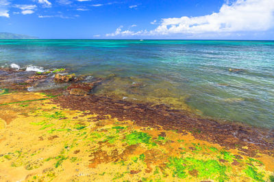 Scenic view of sea against sky