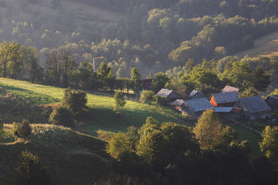 High angle view of trees and houses on field