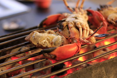 Close-up of crab on barbecue grill