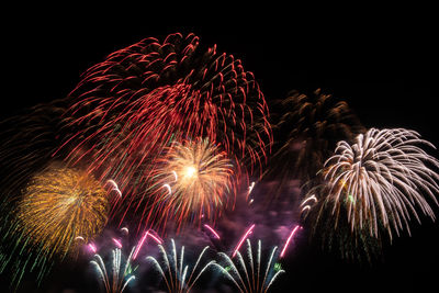 Low angle view of firework display at night