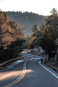 Road by trees against sky