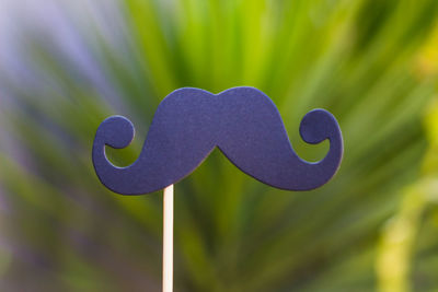 Close-up of artificial mustache outdoors