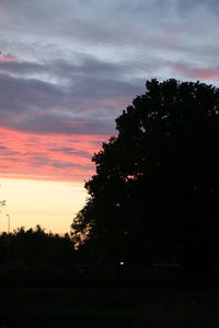 Silhouette trees on field against sky at sunset