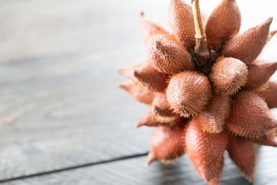 Close-up of plant on table